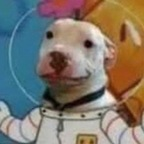 physco Profile Picture