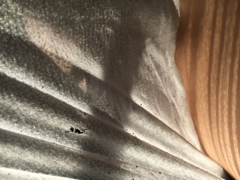 Video leaks pillowtalk