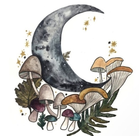 Video leaks pineapplebratt79