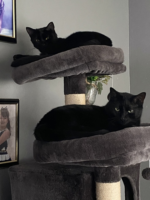 Video leaks pintsizedmoonshine