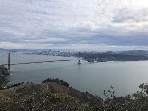 Video leaks plantdaddy_sf