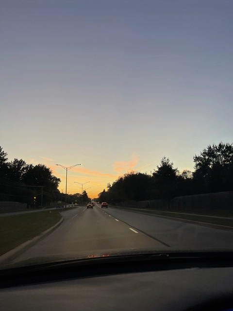 Video leaks pollyester1