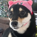 Onlyfans leaked poogie_fan69lol 

 profile picture