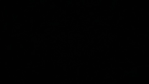 Video leaks ppaulxyz