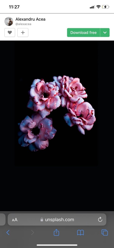 Video leaks prettycheeks0