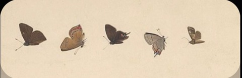 Video leaks prettygirlarie777