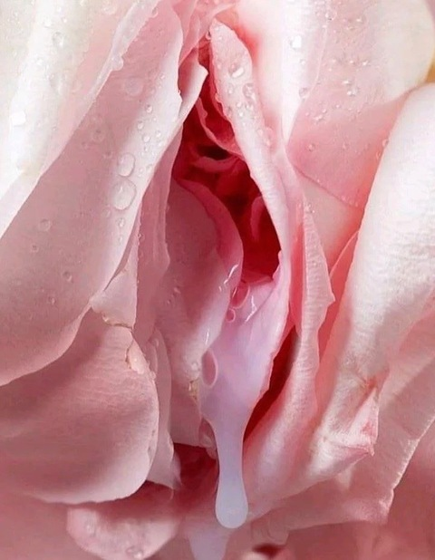 Video leaks prettypetitedream