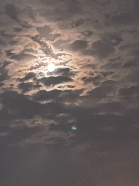 Video leaks princess294476