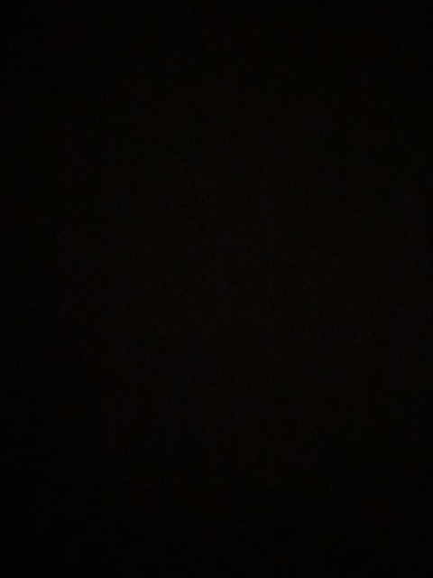 Video leaks princesssfi