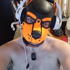 pup-patches (Patches the Pumpkin King) free OnlyFans Leaked Pictures and Videos 

 profile picture