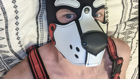 Video leaks pup_chrono