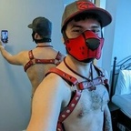 pupryder95 Profile Picture