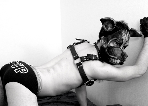 Video leaks pupscritch