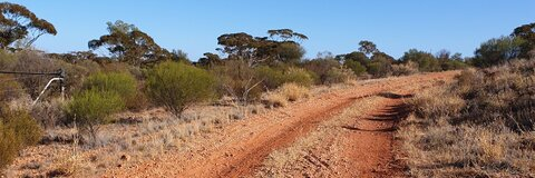 Video leaks pupsentinel