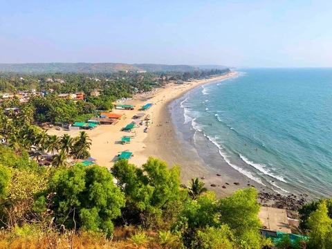 Video leaks puravidacost