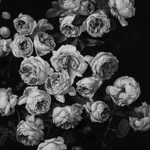 Video leaks queeniebfree