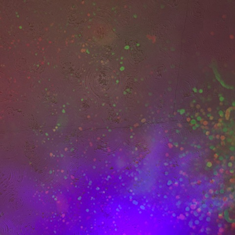 Video leaks queercryptid666