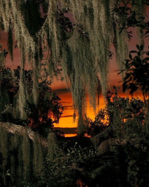 Video leaks rachelkatz420