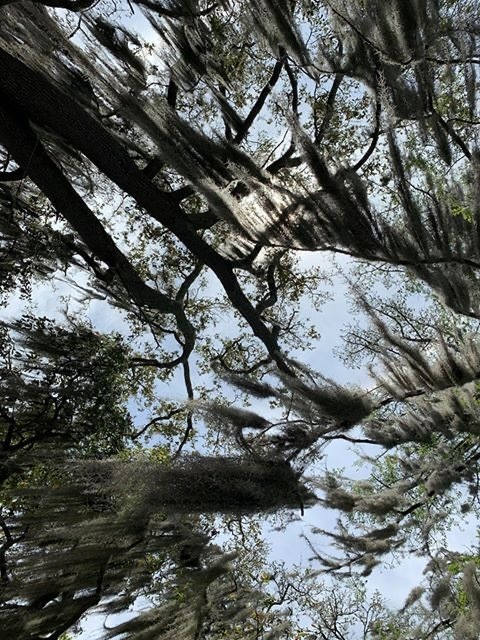 Video leaks rainah_morningstar