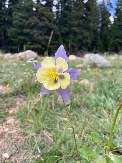 Video leaks rainbowmystic