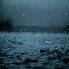 Onlyfans leaks raindrops 

 profile picture