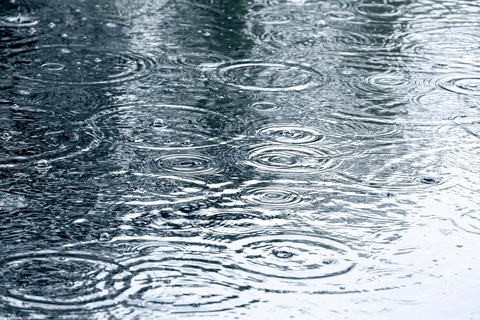 Video leaks rainontheforecast