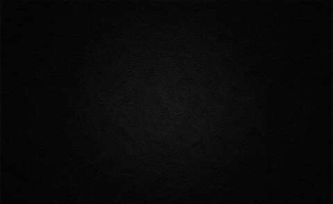 Video leaks rammpage