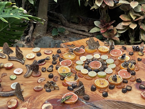 Video leaks rattyqueeen