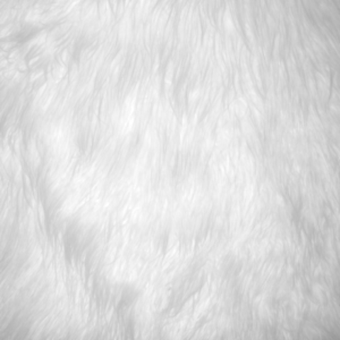 Video leaks rayasapir