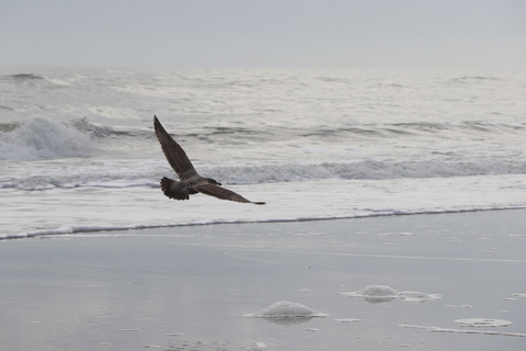 Video leaks realhavenrae