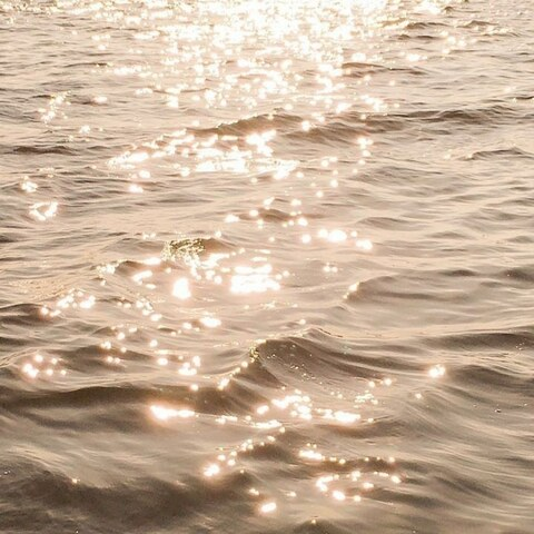 Video leaks realroyalnudist