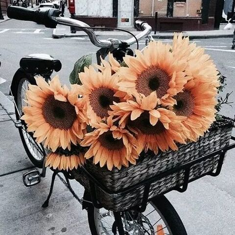 Video leaks redneckgirl0143