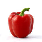 redpaprika (Paprika) OnlyFans Leaked Videos and Pictures 

 profile picture