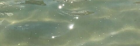 Video leaks reg_gomez