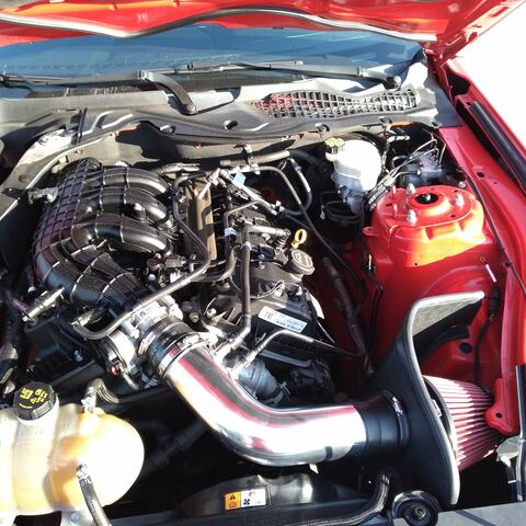 Video leaks revolt50h