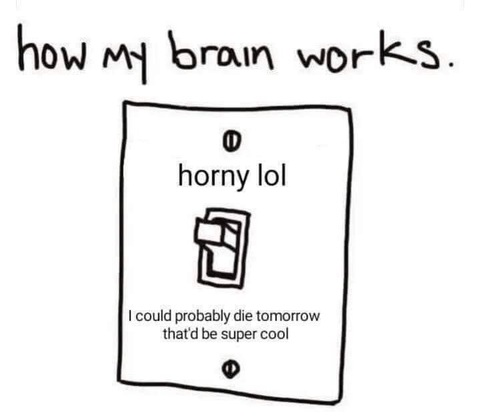 Video leaks riasaurus