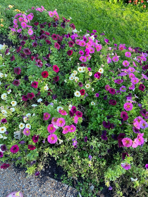 Video leaks ricanjawn22