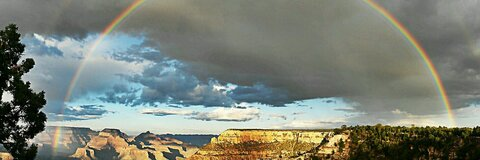 Video leaks riccardi