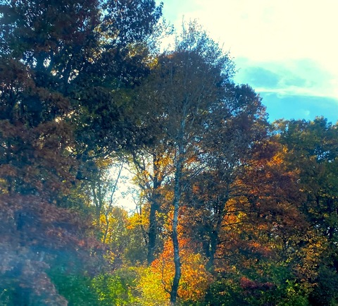 Video leaks rickfrazer8