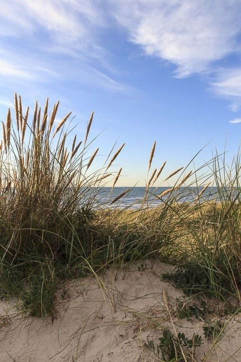 Video leaks rileyphillipslee