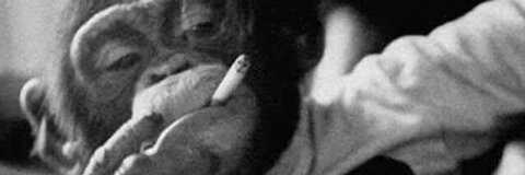 Video leaks ringoxmandingo