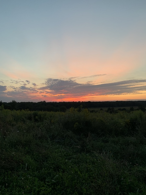 Video leaks ripjohnson