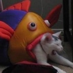riversmom Profile Picture