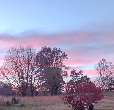 Video leaks rockyliscious