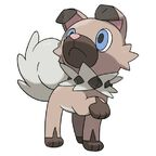 rockyyen Profile Picture