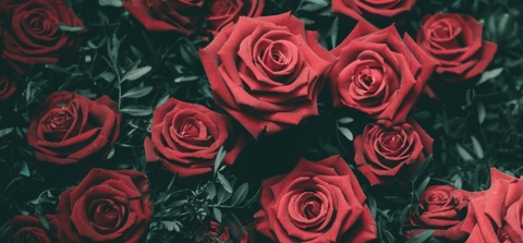 Video leaks ronniecysworthfree