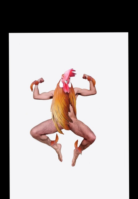 Video leaks rooster2019
