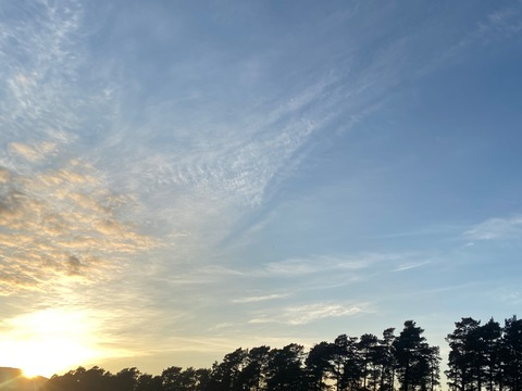 Video leaks rosealinaraeraw