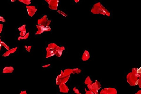Video leaks rosebuds069