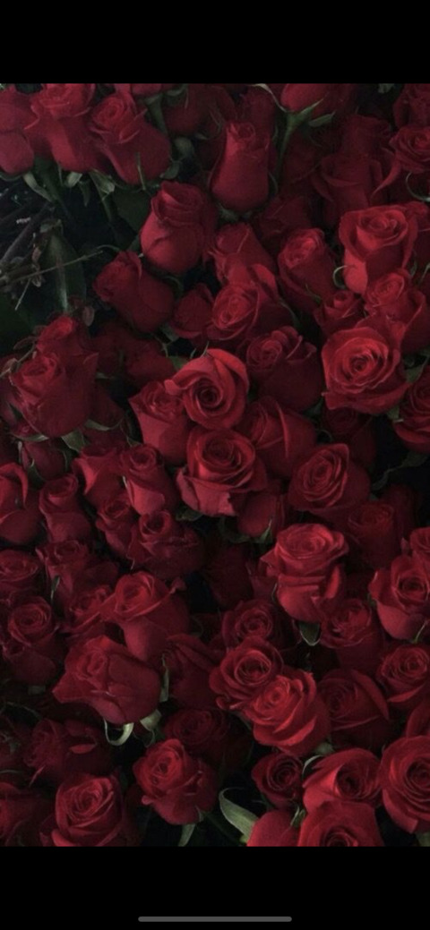 Video leaks roselaura69